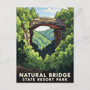 Cartão Postal Kentucky Natural Bridge State Resort Park Viagem