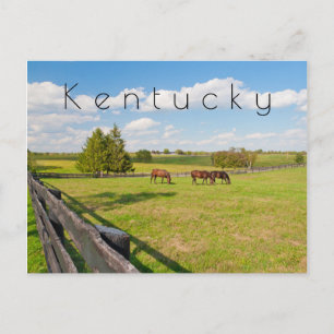 Cartão Postal Kentucky Postcard, cavalos na fazenda