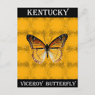 Cartão Postal Kentucky Viceroy Butterfly