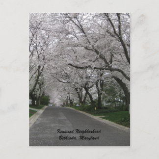 Cartão Postal Kenwood Neighborhood, Bethesda, Maryland