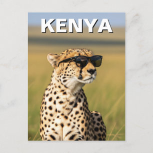 Cartão Postal Kenya Masai Mara Cheetah com óculos de sol