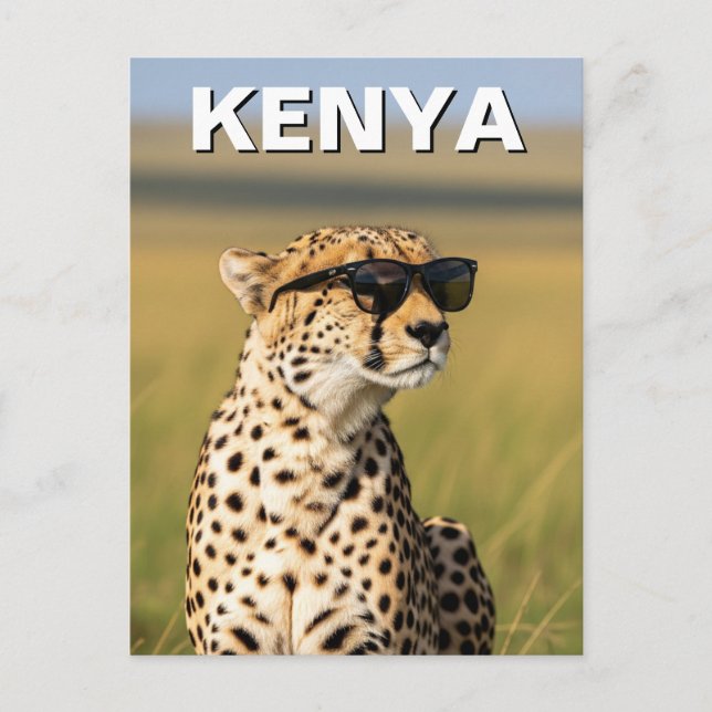 Cartão Postal Kenya Masai Mara Cheetah com óculos de sol (Frente)