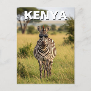 Cartão Postal Kenya Masai Mara Zebra com óculos escuros