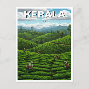Cartão Postal Kerala India Tea Plantation