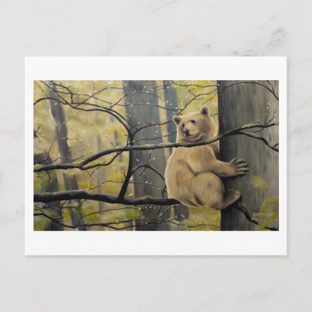 Cartão postal Kermode Bear Postcards (Frente)