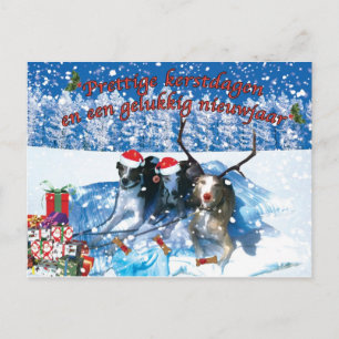 Cartão Postal Kerstkaart de chicote
