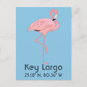 Cartão Postal Key Largo FL Keys Flamingo Latitude Longitude