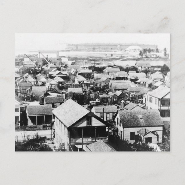 Cartão Postal Key West 1895 Foto histórica (Frente)