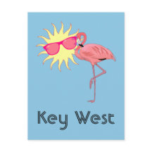 Key West Flamingo