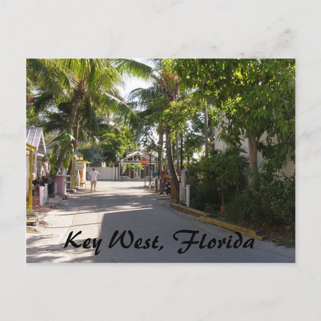 Cartão Postal Key West, Flórida (Frente)