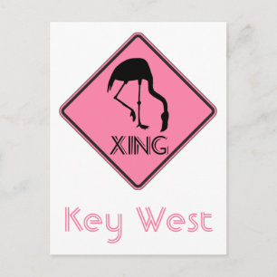 Cartão Postal Key West Florida Flamingo Crosign