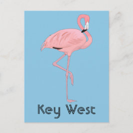 Cartão Postal Key West Flórida Flamingo Rosa
