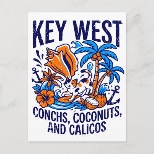 Cartão Postal Key West Flórida Gatos Tropicais Conchas E Cocos