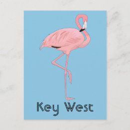 Cartão Postal Key West Florida Pink Flamingo