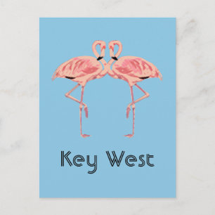 Cartão Postal Key West Florida Pink Flamingo Casal