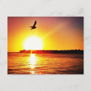 Cartão Postal Key West Sunset