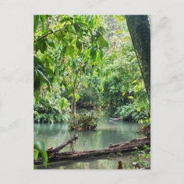 Cartão Postal KhYoung Si Falls, Forest Lake, Laos