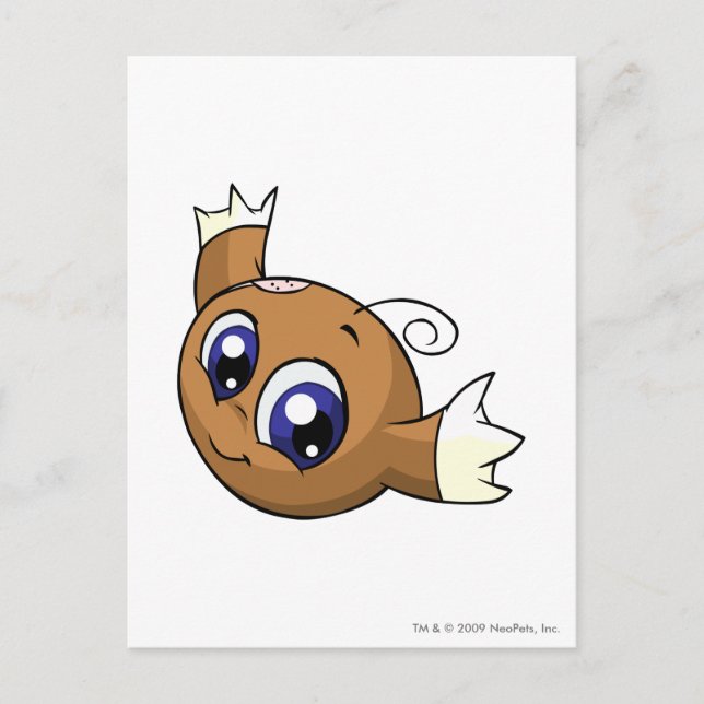 Cartão Postal Kiko Brown (Frente)