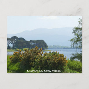 Cartão Postal Killarney lakeside, County Kerry, Irlanda
