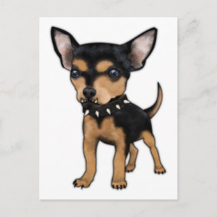 Cartão Postal Killer Chihuahua