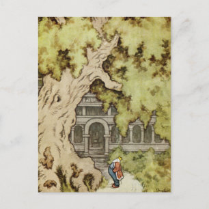 Cartão Postal King olha para a Árvore Gigante