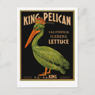Cartão Postal King Pelican Marca Lettuce