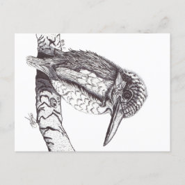 CARTÃO POSTAL KINGFISHER