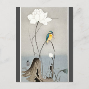 Cartão Postal Kingfisher com carvão vegetal Lotus Flower Ohara K