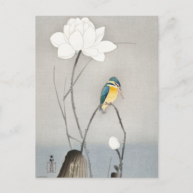 Cartão Postal Kingfisher com Flor Lotus por Ohara Koson (Frente)