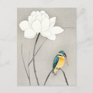 Cartão Postal Kingfisher com Lotus Flower Ohara Koson ampliado