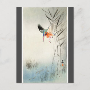 Cartão Postal Kingfisher Hunting - Ohara Koson - carvão vegetal