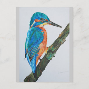 Cartão Postal Kingfisher Merchandise