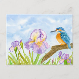 Cartão Postal  Kingfisher with Purple Irises