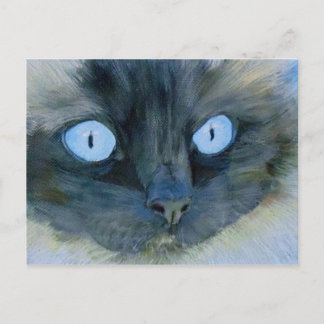 Cartão Postal Kismet, o Gato Ragdoll