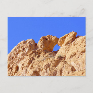 Cartão Postal Kissing Camels
