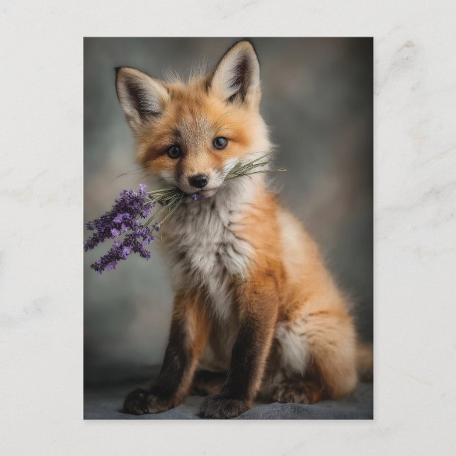 Cartão Postal Kit de Raposa Adorável Segurando Flores de Lavanda (Frente)
