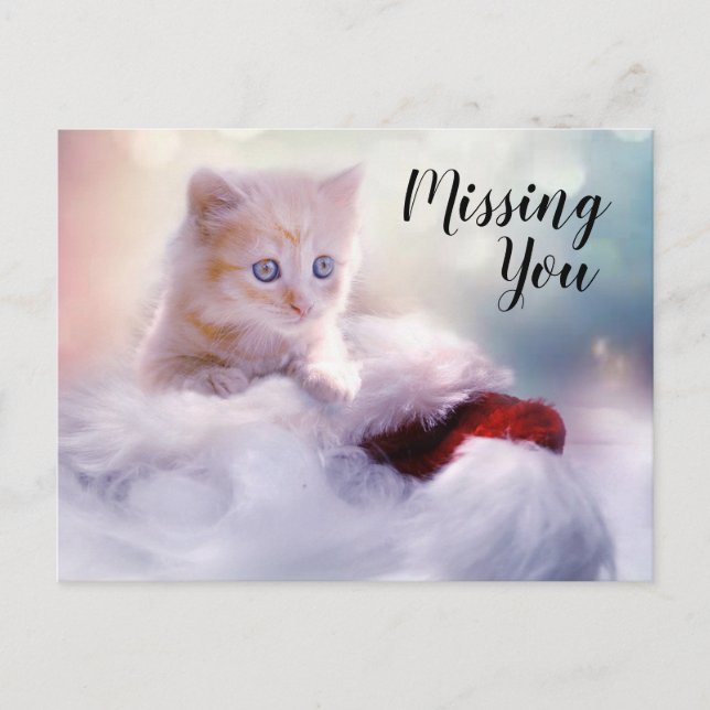 Cartão Postal Kitten (Frente)