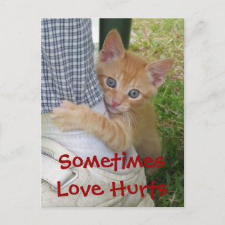 Cartão Postal Kitten Dax Love Machuca Cartão-Postal