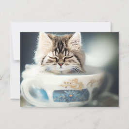 Cartão Postal Kitten dormindo em um Teacup - Cartão-postal de Ca