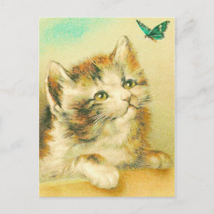 Cartão Postal Kitten E Butterfly Vintage