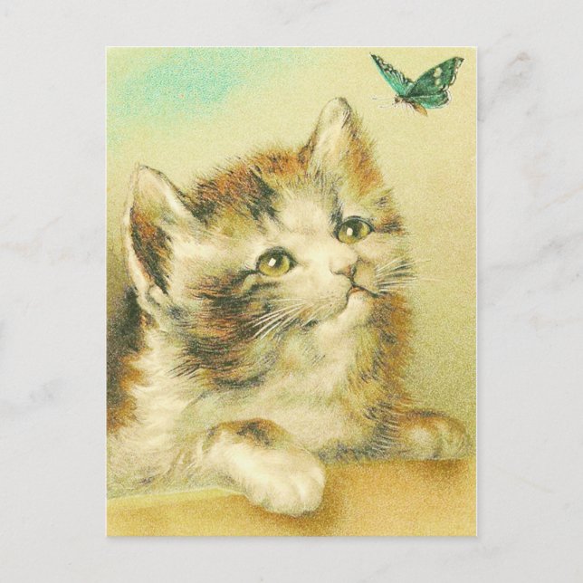 Cartão Postal Kitten E Butterfly Vintage (Frente)