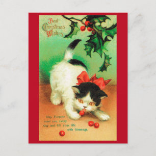 Cartão Postal Kitten e Christmas Holly