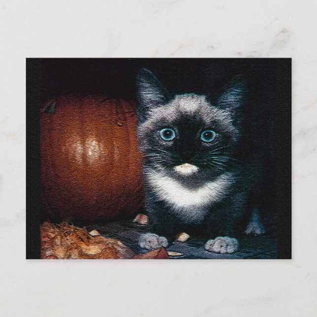 Cartão Postal Kitten e Pumpkin para o Dia das Bruxas (Frente)