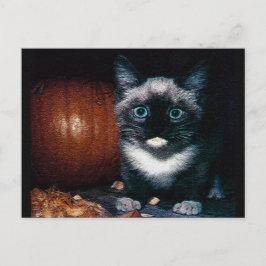 Cartão Postal Kitten e Pumpkin para o Dia das Bruxas