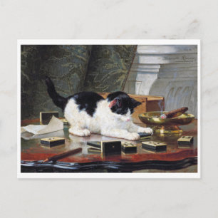 Cartão Postal Kitten, Henriette Ronner-Knip