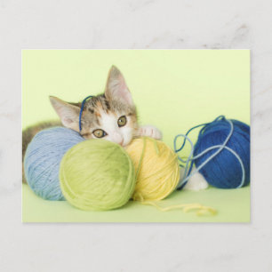 Cartão Postal Kitten Playing Yarn