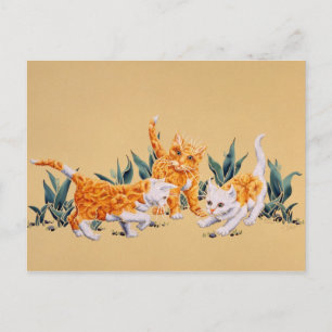 Cartão Postal Kitten Primavera