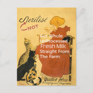 Cartão Postal Kitten Vintage Milk Poster