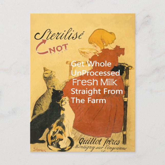 Cartão Postal Kitten Vintage Milk Poster (Frente)