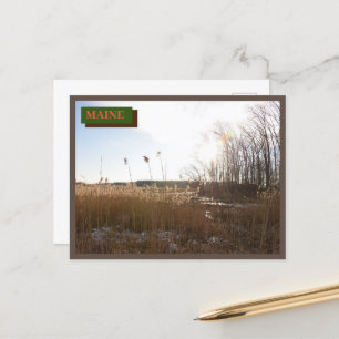 Cartão Postal Kittery Seapoint Beach Maine Nature